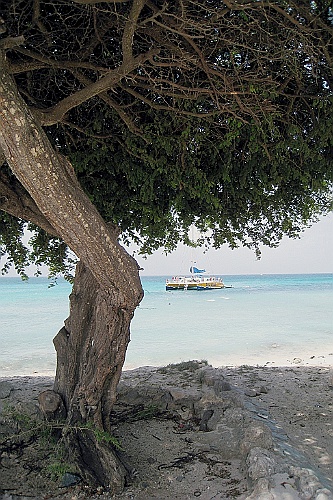 cruise14 (274)